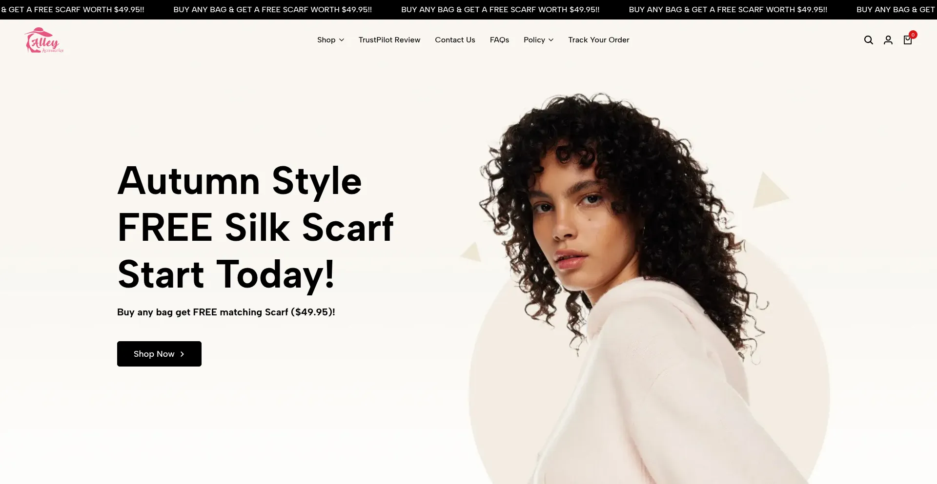 Screenshot of alleyaccessory.com homepage