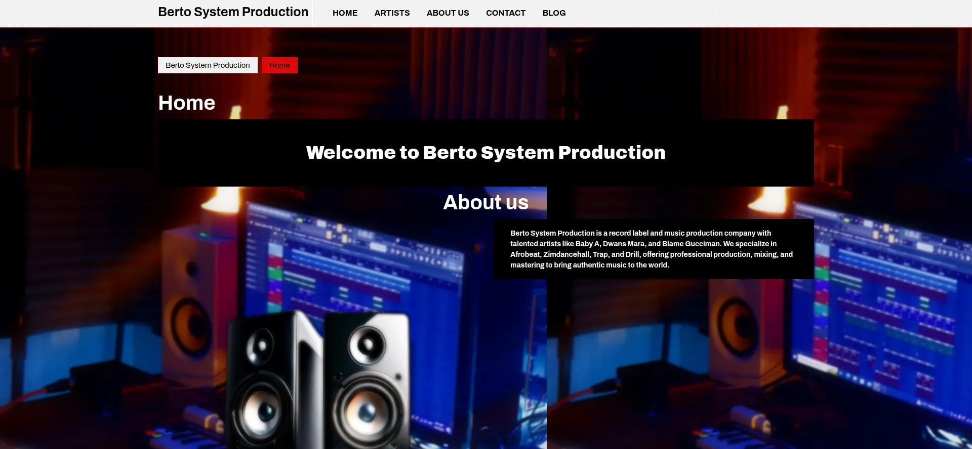 Screenshot of bertosystemproduction.co.za homepage