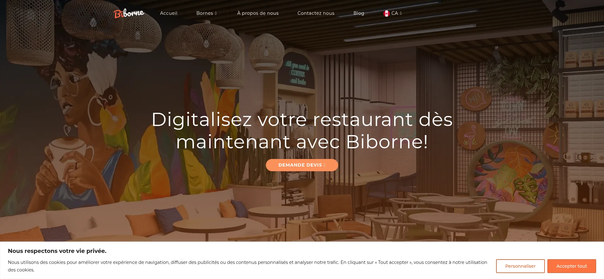 Screenshot of biborne.com homepage