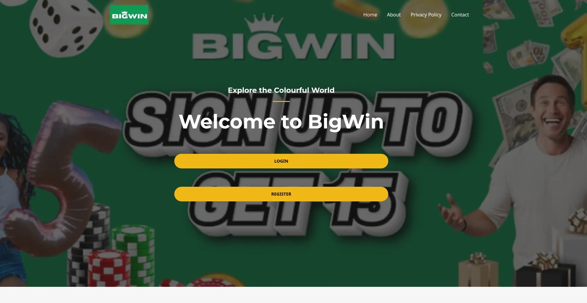 Screenshot of bigwin.support homepage
