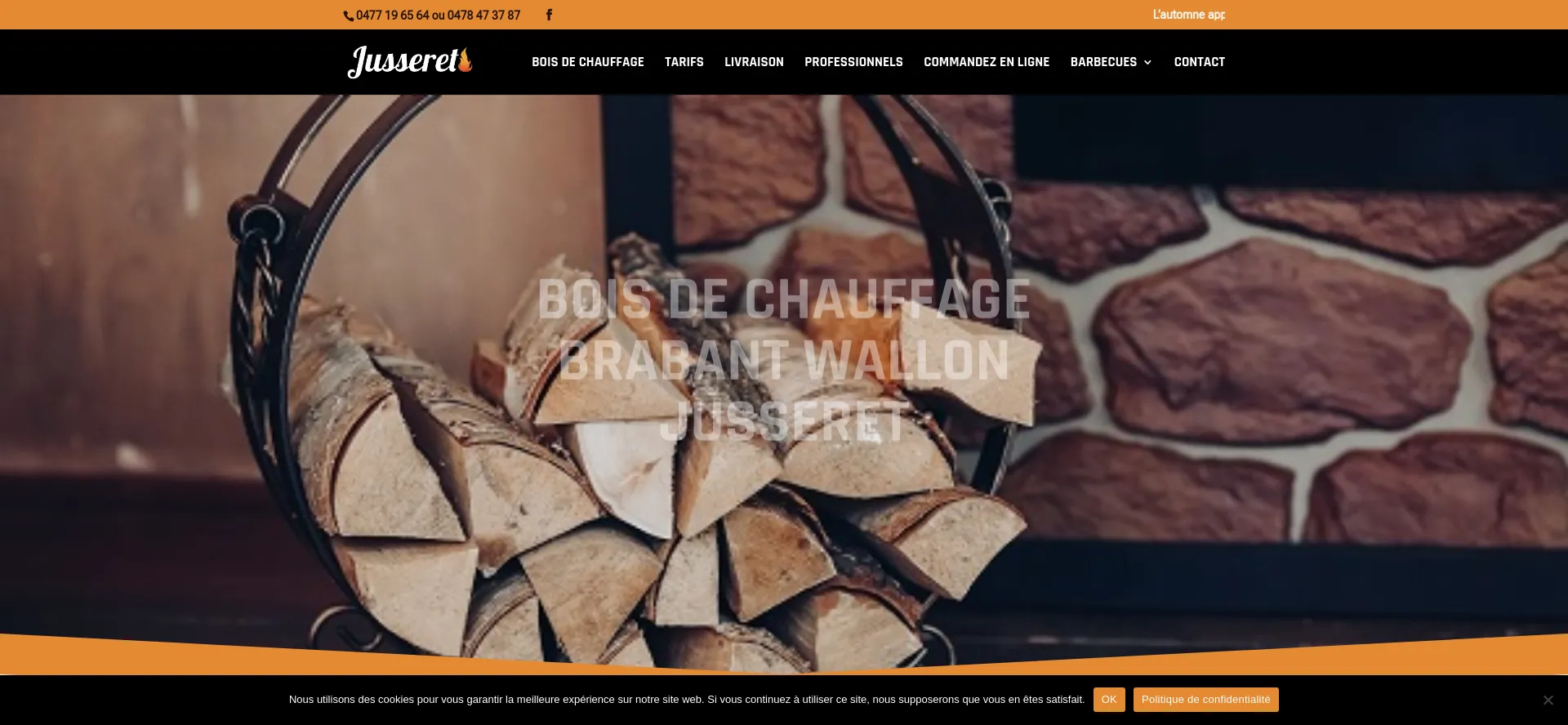 Screenshot of boisdechauffagebrabantwallon.be homepage
