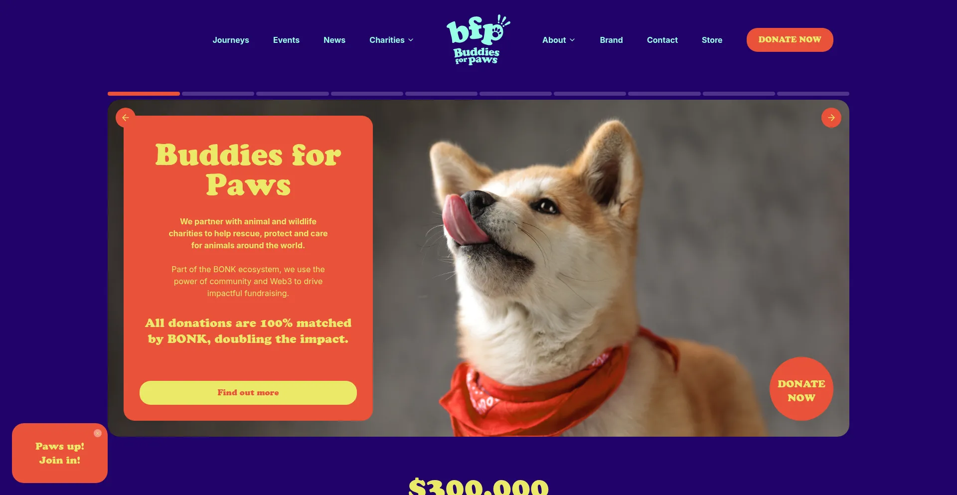Screenshot of buddiesforpaws.org homepage