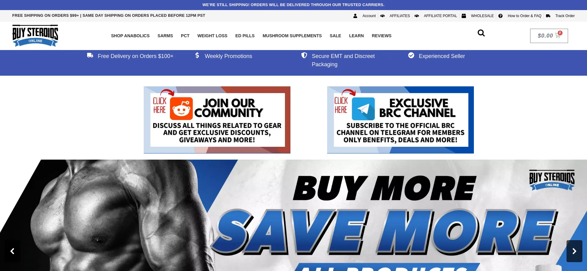 Screenshot of buyroidscanada.shop homepage