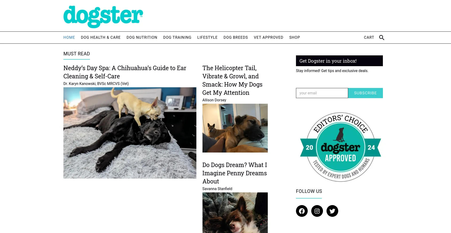 Screenshot of dogster.com homepage