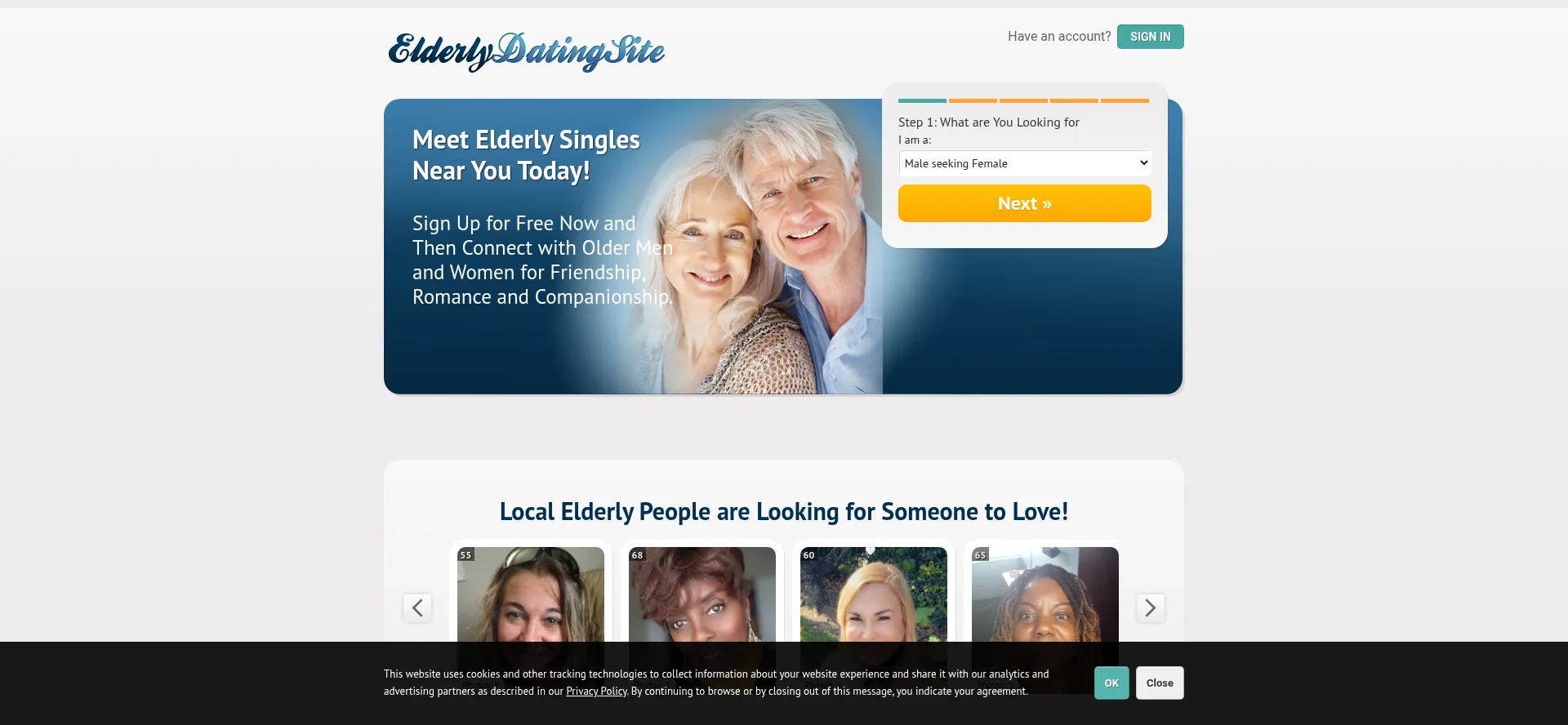 Screenshot of elderlydatingsite.com homepage