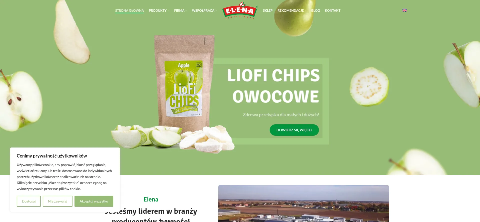 Screenshot of elena.pl homepage