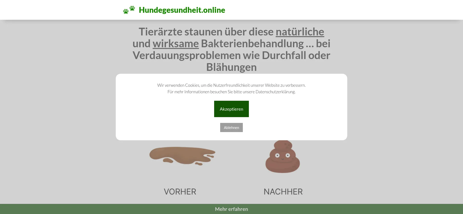 Screenshot of hundegesundheit.online homepage