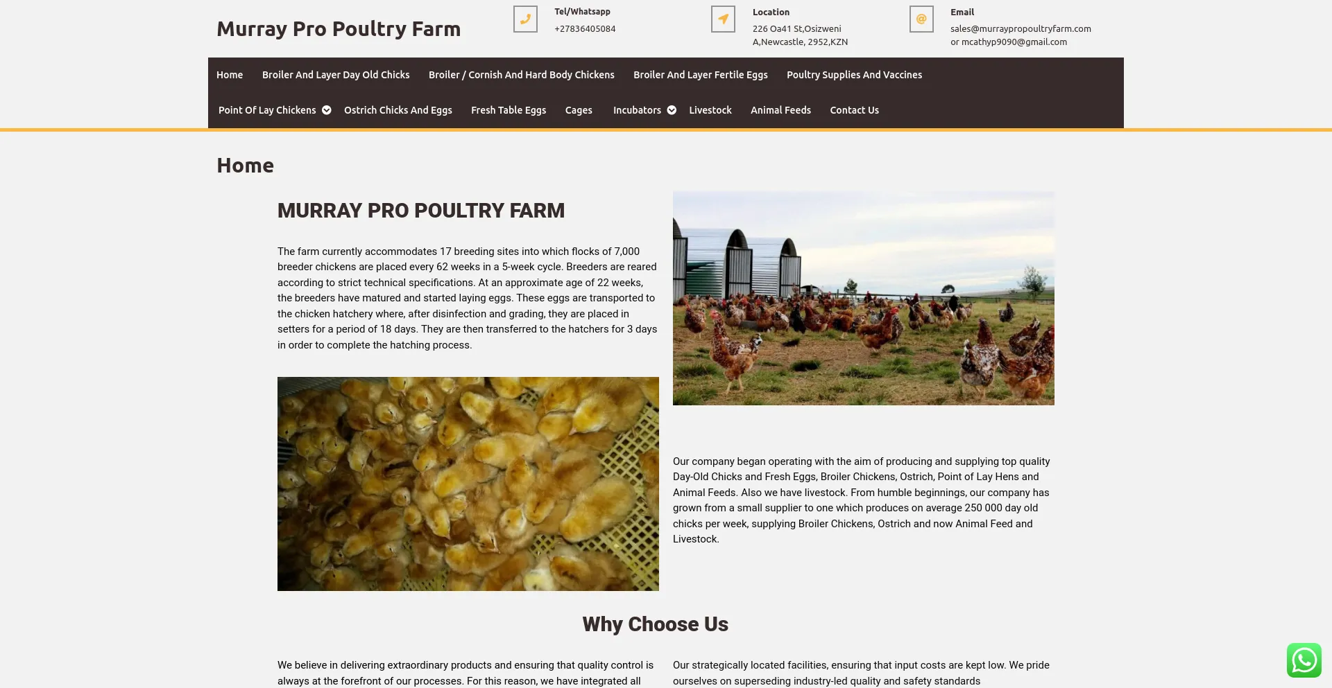 murraypropoultryfarm.com