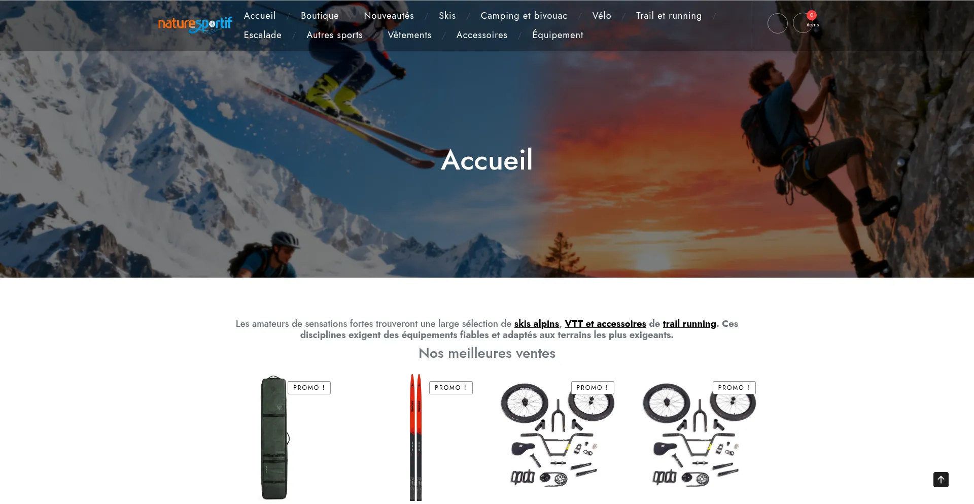 Screenshot of naturesportif.com homepage