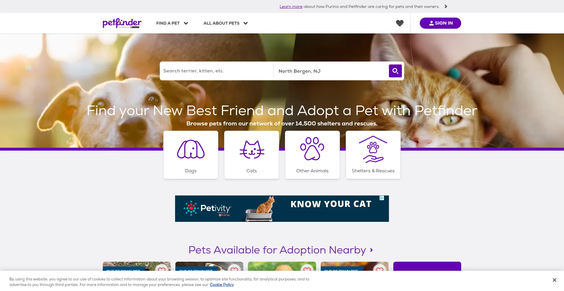 Screenshot of petfinder.com homepage
