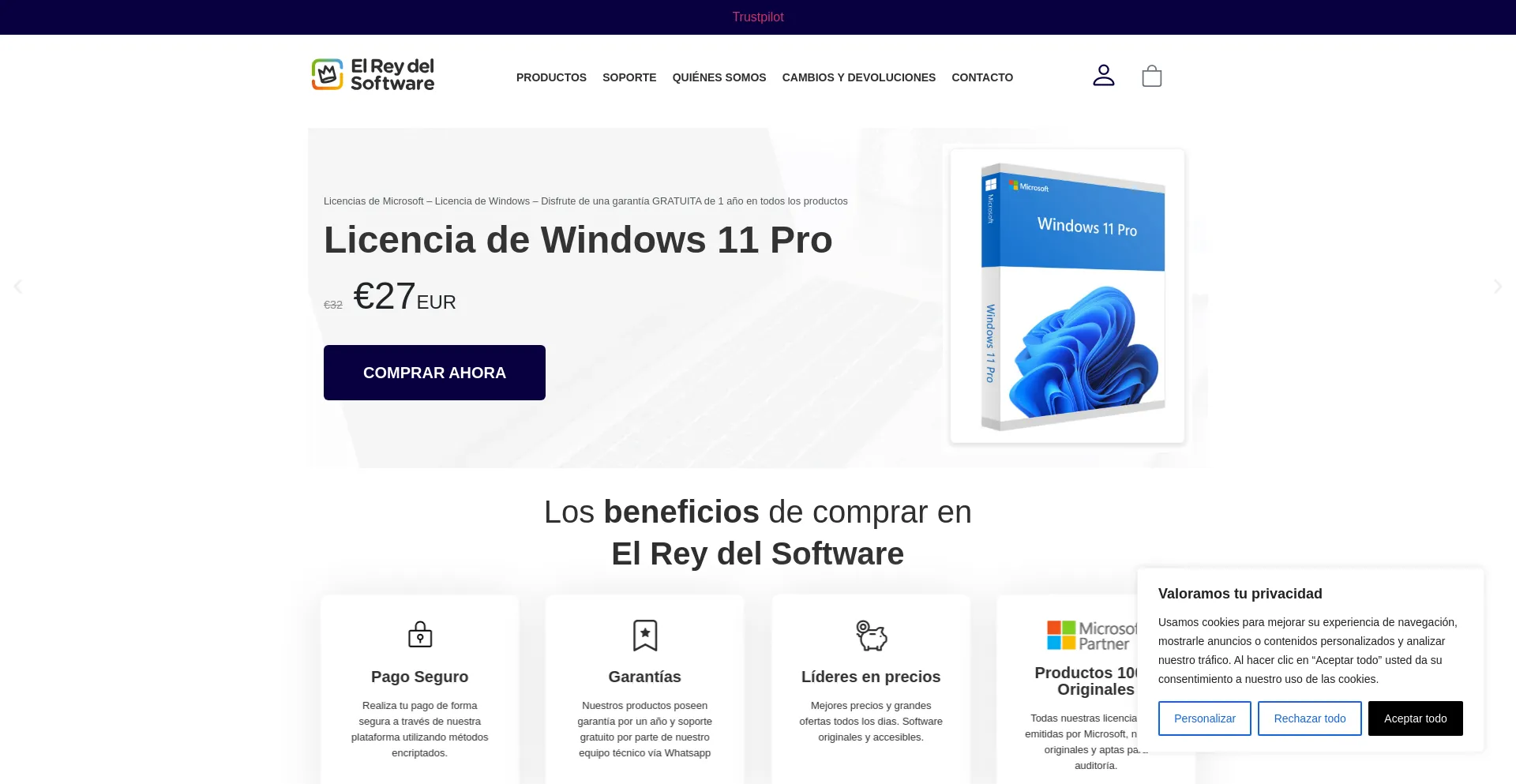 Screenshot of reydelsoftware.com homepage
