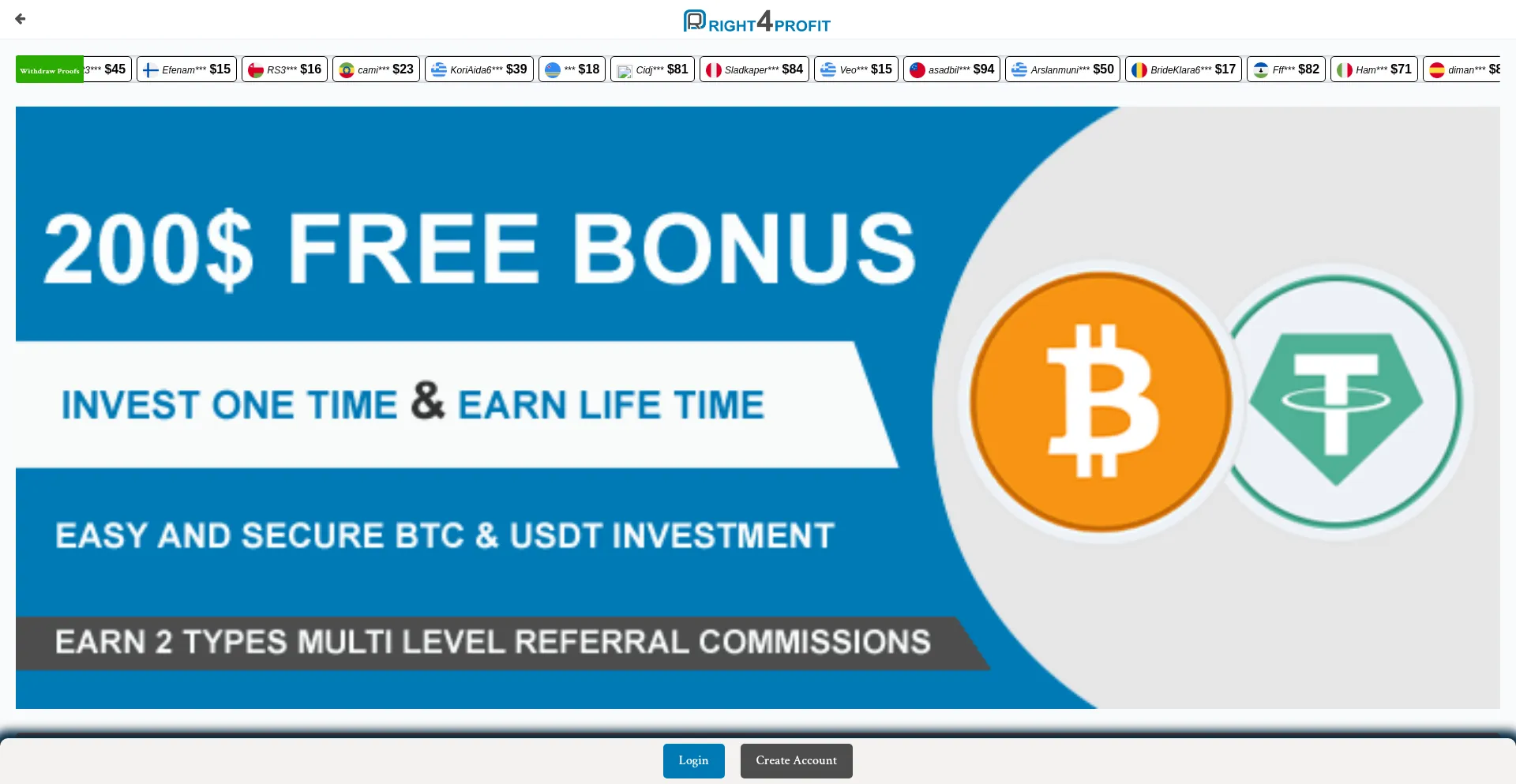 Screenshot of right4profit.com homepage