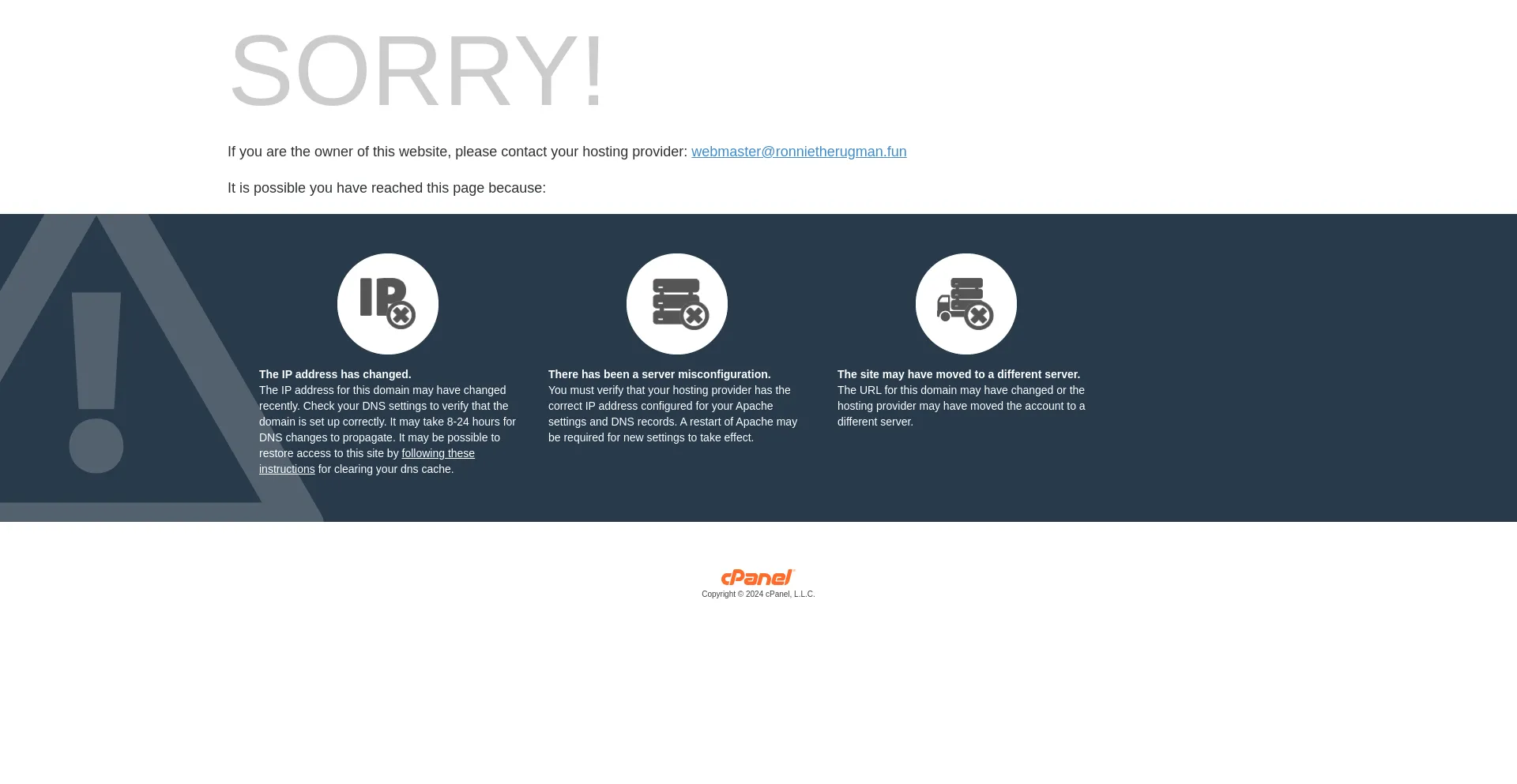 Screenshot of ronnietherugman.fun homepage