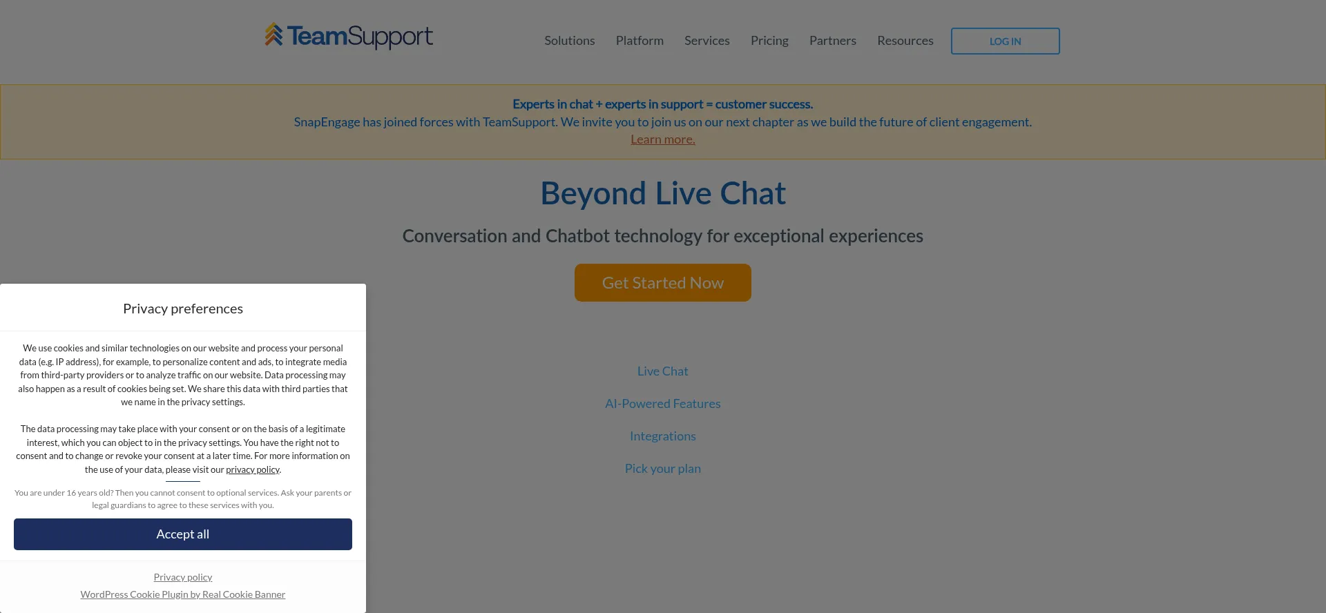 Screenshot of snapengage.com homepage
