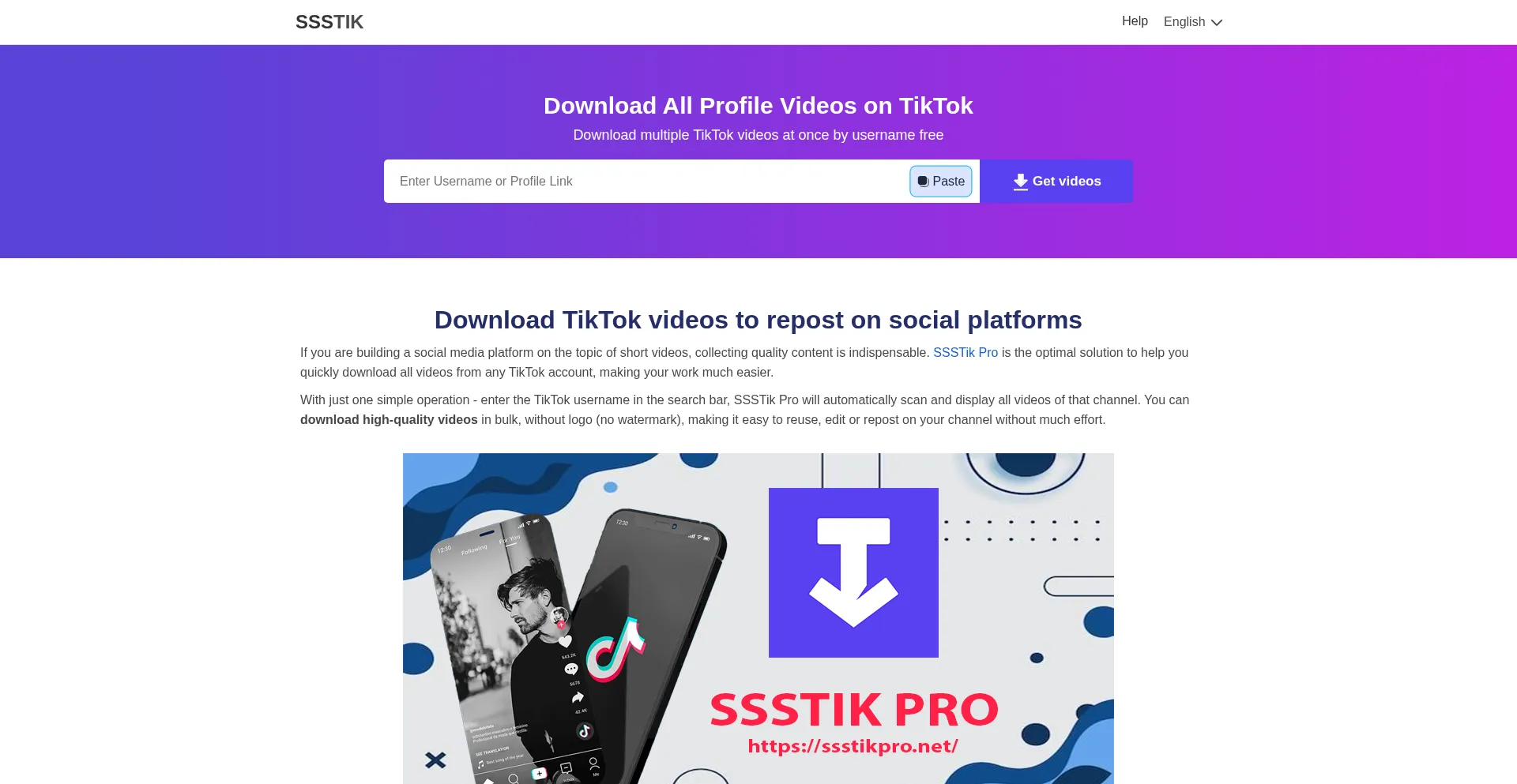 ssstikpro.net