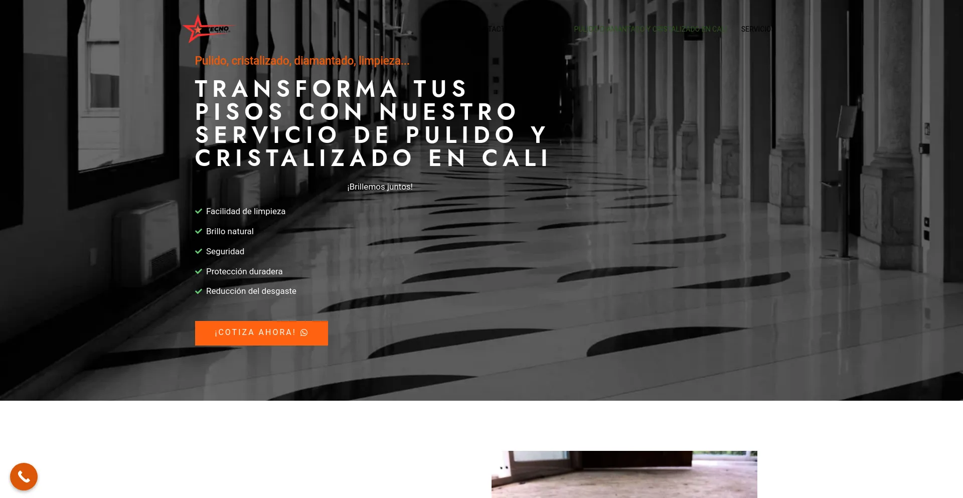 Screenshot of tecnobrillo.com homepage
