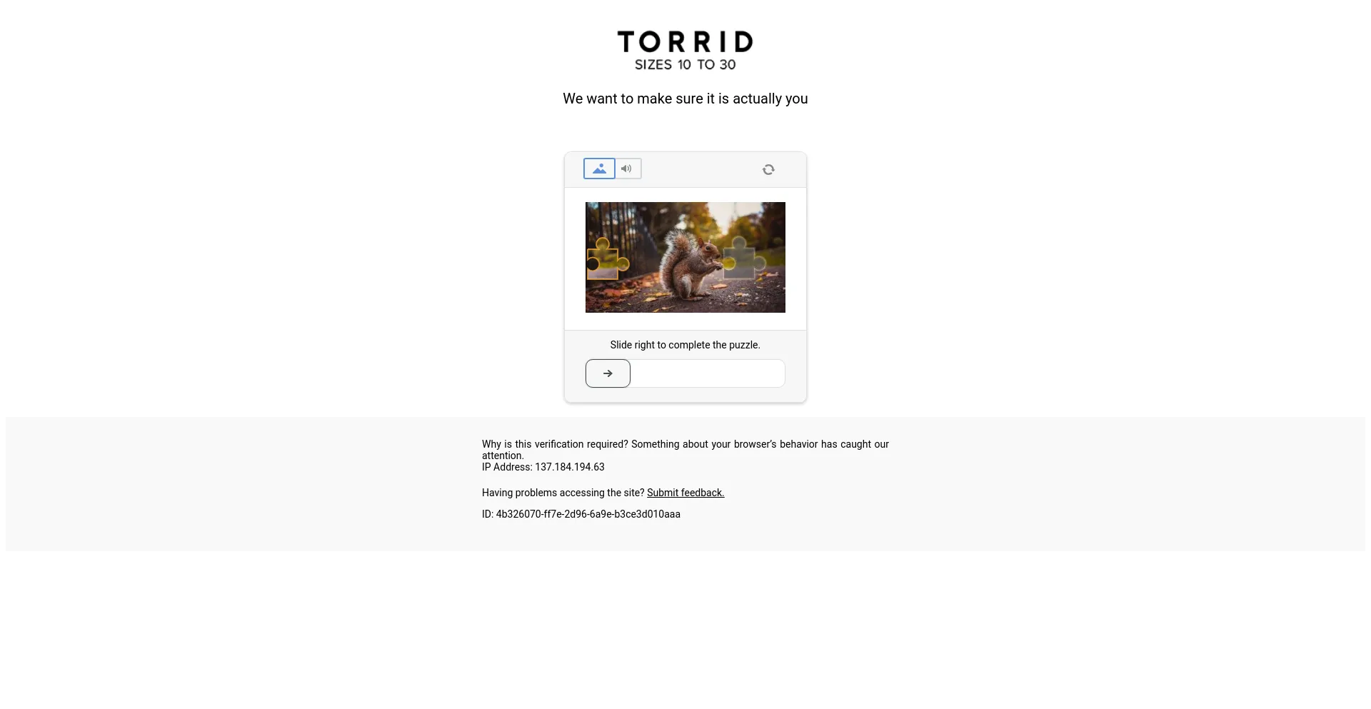 torrid.com
